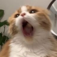 オタクさんのアイコン画像