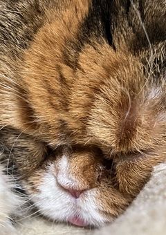 ももちの実写&雑談部屋！！