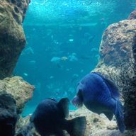 りっかさんのアイコン画像