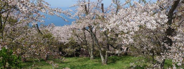 みかみさんの壁紙画像