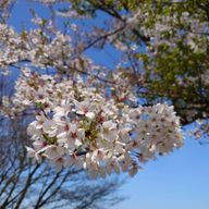 みかみさんのアイコン画像