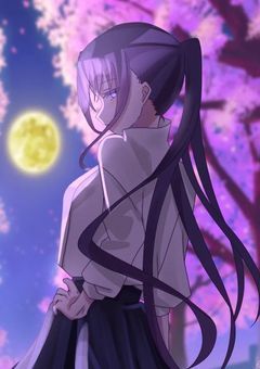 不老不死ガール、雄英高校を護衛します