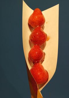 My   favorite   record