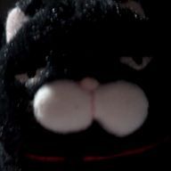 水色ハムテル(垢停止)さんのアイコン画像