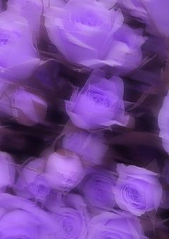 nnw･紫短編集