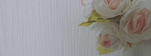 Slash/(ログアウト済み)さんの壁紙画像