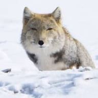 minazoさんのアイコン画像