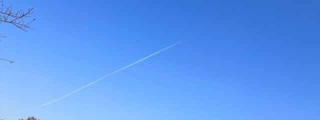 くららさんの壁紙画像