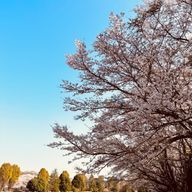 くららさんのアイコン画像