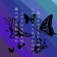 誘宵さんのアイコン画像