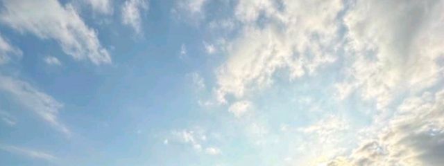 かえでさんの壁紙画像