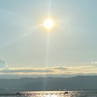 もっちーさんのアイコン画像