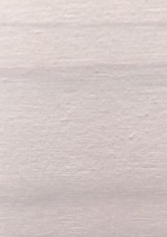 活動報告