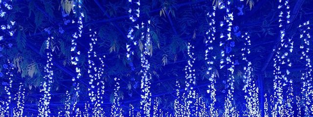 #らむね🫧さんの壁紙画像