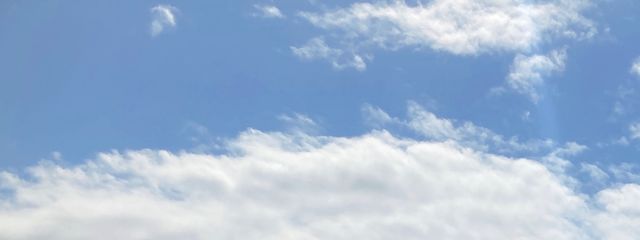 あるまさんの壁紙画像