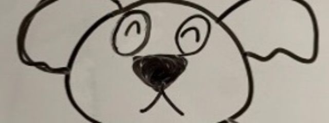 こあらさんの壁紙画像