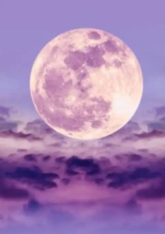 ヤ○ザの娘はヒーローを嫌う