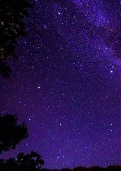 ランキング付小説