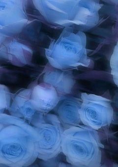 月夜の宝石