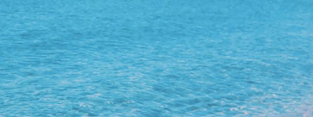 楓🍁ミライズ所属さんの壁紙画像