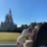 yuiii_xl7さんのアイコン画像