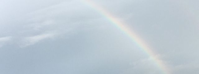 藤咲藍さんの壁紙画像