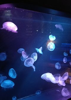 夏休みの旅行日記