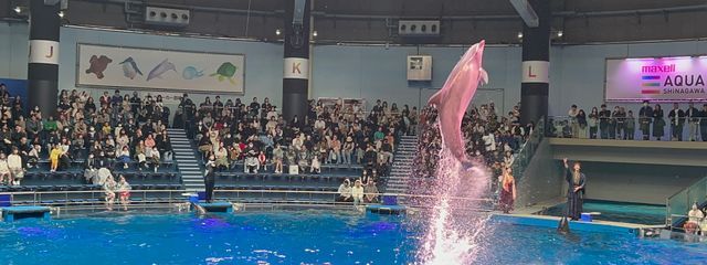 塩こうじさんの壁紙画像