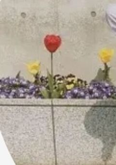 YouTubeはじめました