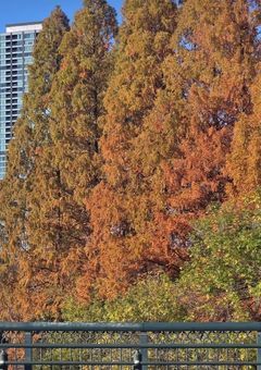 さよならを背負った僕らへ