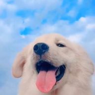 StaAaさんのアイコン画像