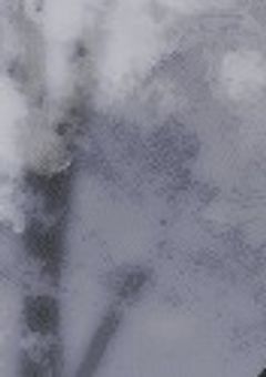 狐の俺達と?¿人間の俺たち