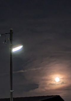 死神様のお待ちかね