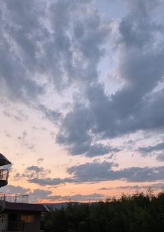 『参加型』キミの人生俺に委ねて【更新停止】