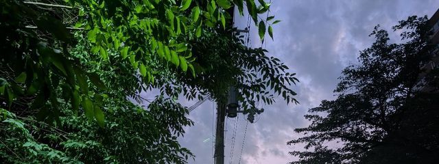 神楽ゆりな 🌕✿さんの壁紙画像