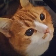 ＲＡＩＫＡさんのアイコン画像