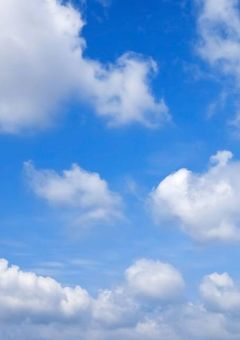 雪男さんたち子育て中！