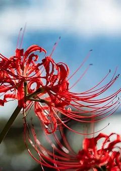 ่กใฎ่ฏใๅฒใ้ ใซ