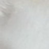 ただのまめさんのアイコン画像