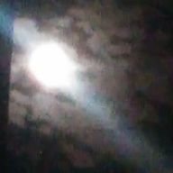 たぬきさんのアイコン画像