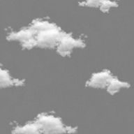 Rぐれいさんのアイコン画像