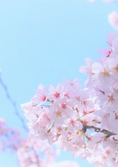 今日、卒業します。-今日そつ-