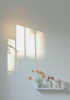 　今日から腐男子　