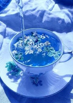 ︎ ︎ ︎ ︎ ︎ ︎ ︎ ︎ ︎ ︎ ︎ ︎𝗯𝗹𝘂𝗲 ︎ ︎ ︎ ︎𝗰𝗮𝘁  ︎ ︎ ︎ ︎ ︎ ︎ ︎ ︎ ︎ ︎ ︎ ︎ ︎ ︎ ︎ ︎ ︎ ︎ ︎ ︎ ︎ ︎ ︎ ︎