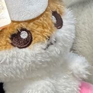 ぴーよさんのアイコン画像