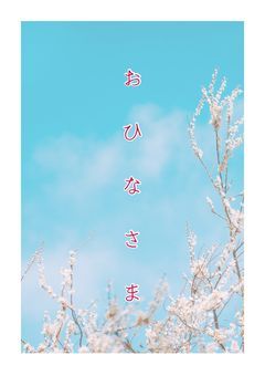 お ひ な さ ま