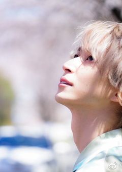 いつか眠る日まで。【桃】