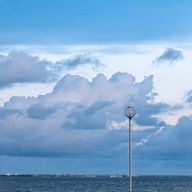 ありさんのアイコン画像