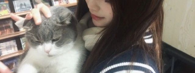 7️⃣さんの壁紙画像