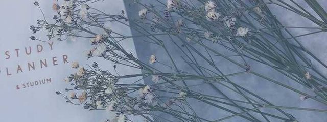btsbtseさんの壁紙画像